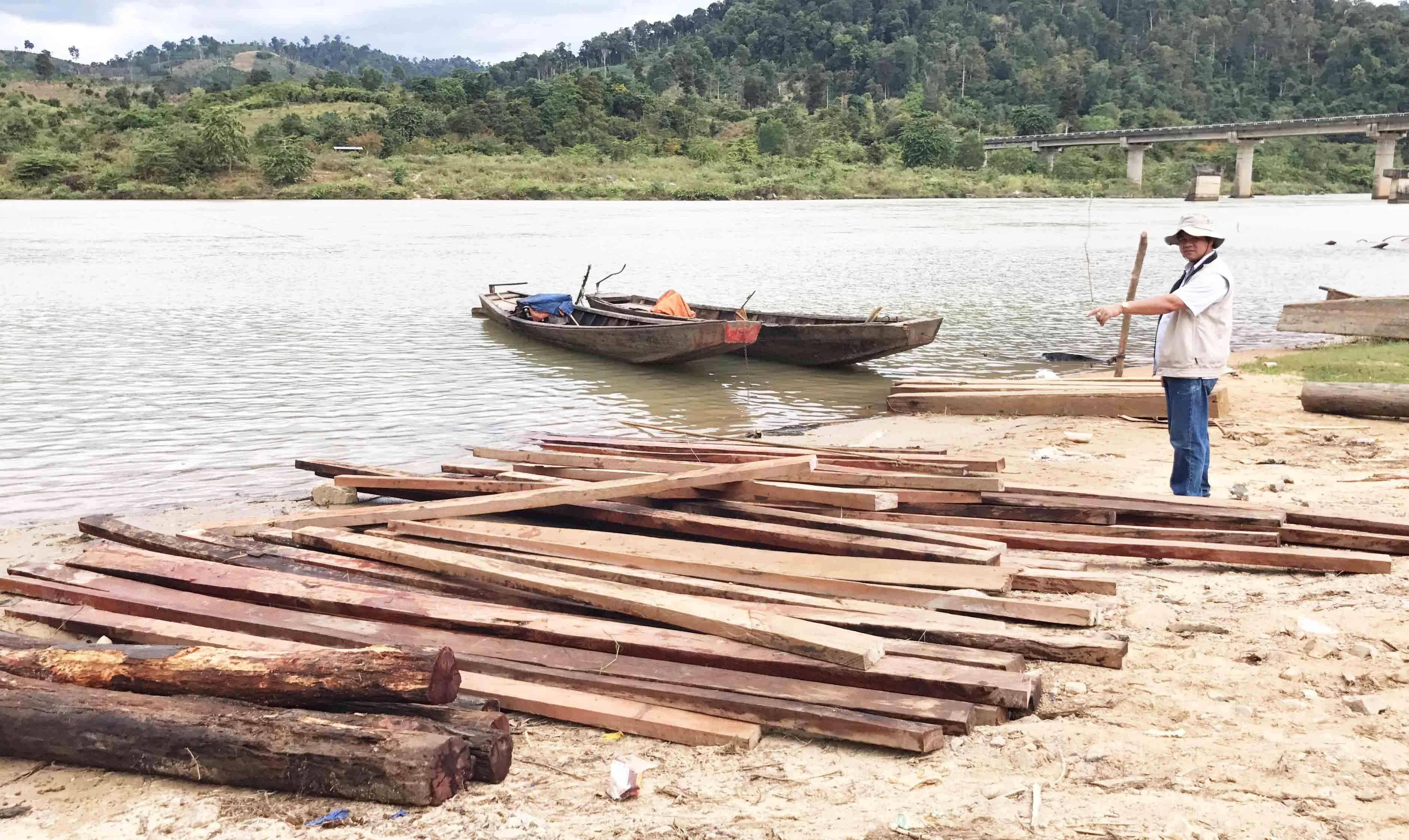 Xử lý nghiêm nạn phá rừng, vận chuyển gỗ trái phép ở Gia Lai