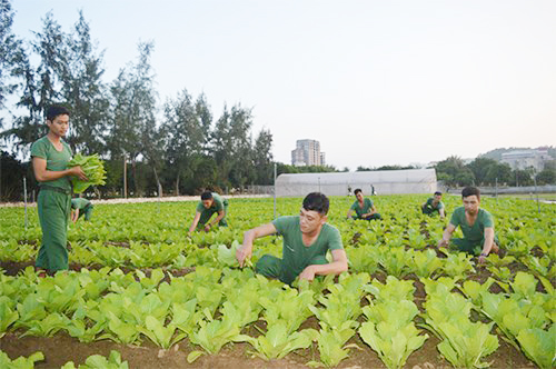 NIỀM VUI ĐỜI CHIẾN SĨ