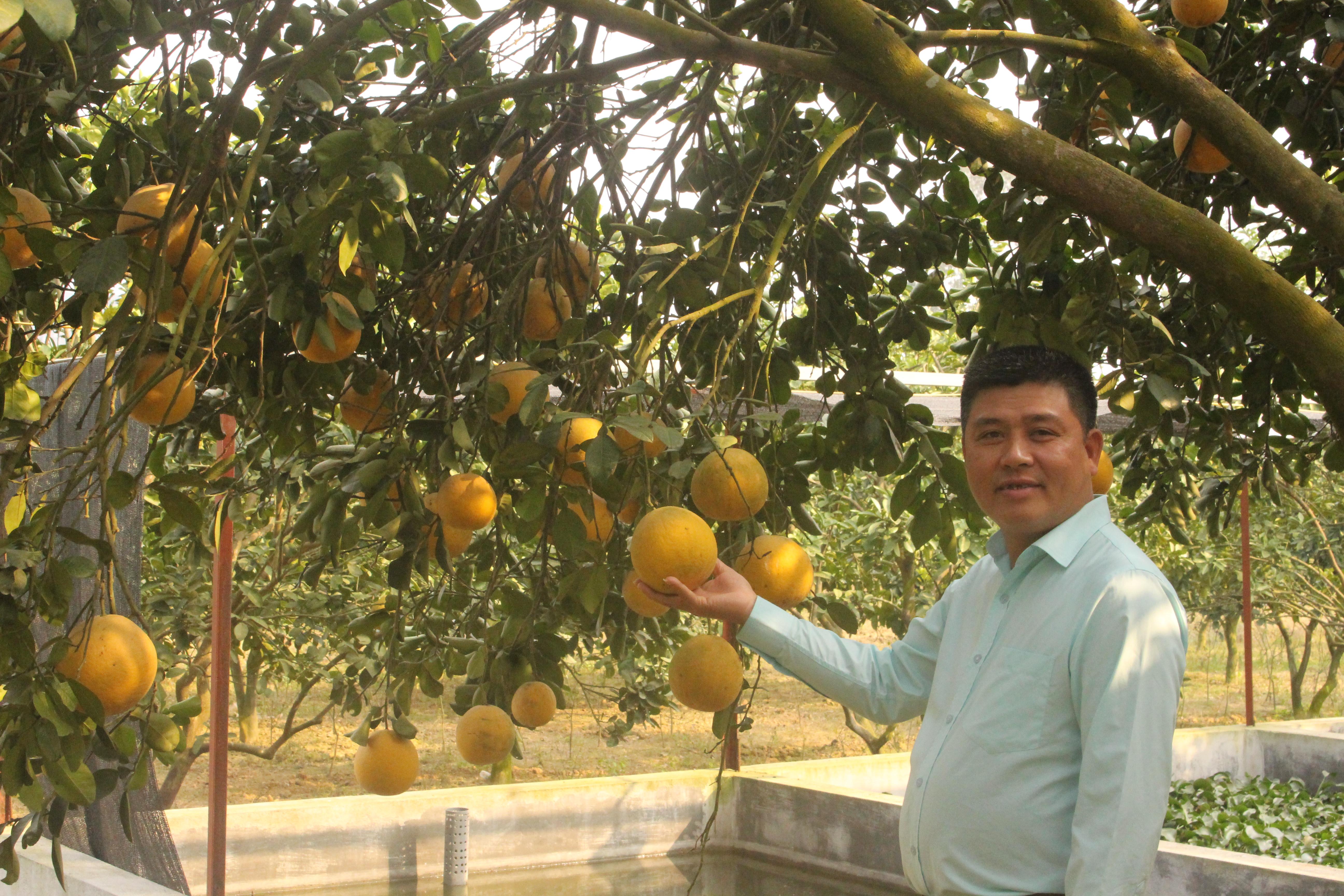 Món quà gửi ra đảo...
