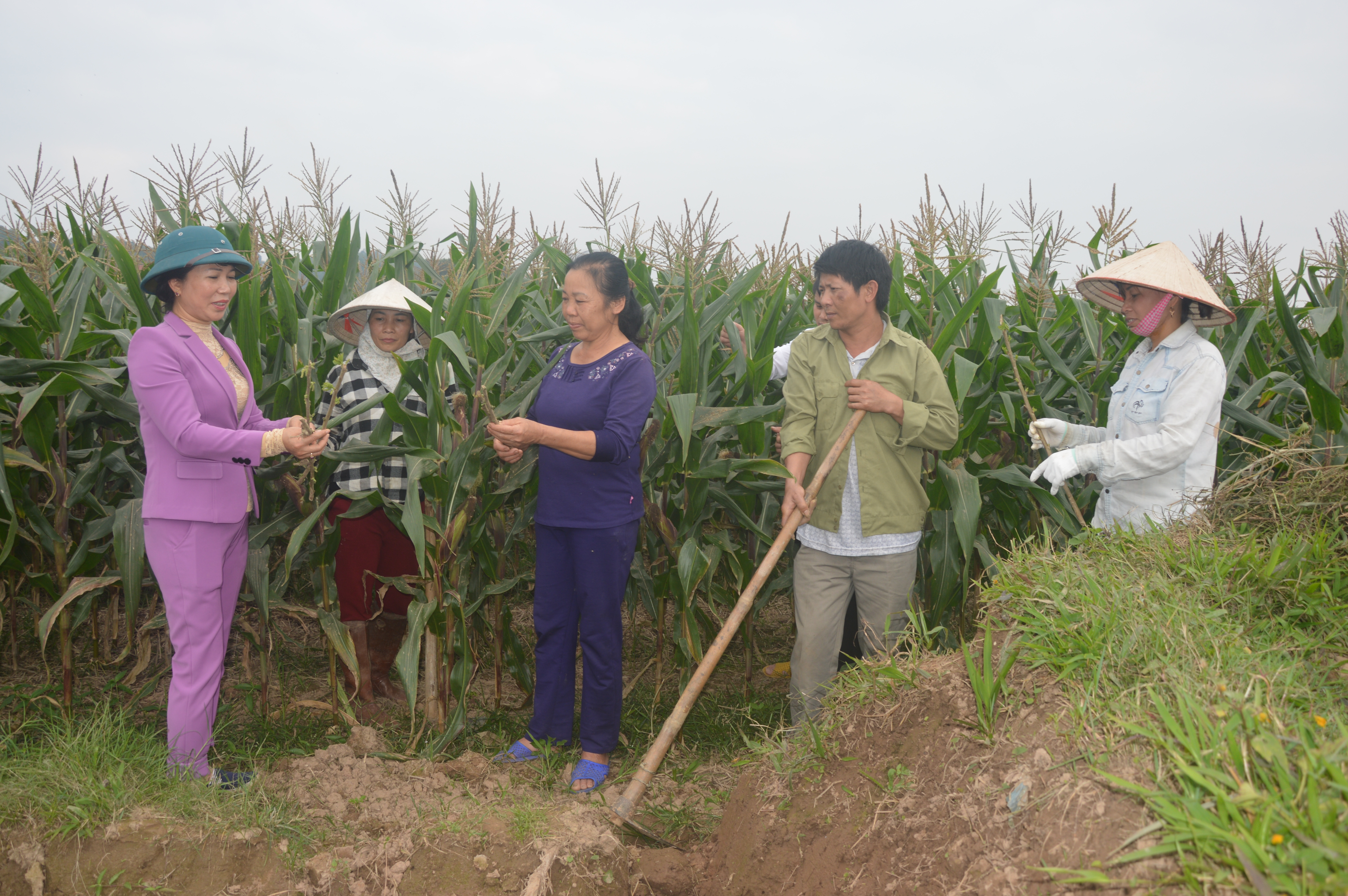 Nữ “thuyền trưởng” giỏi ở xã điển hình nông thôn mới