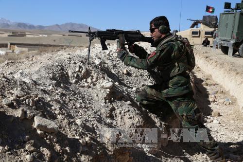 Afghanistan tiêu diệt gần 100 phiến quân