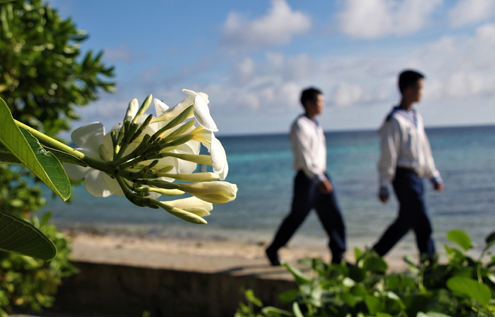 Nhịp bước mùa xuân.