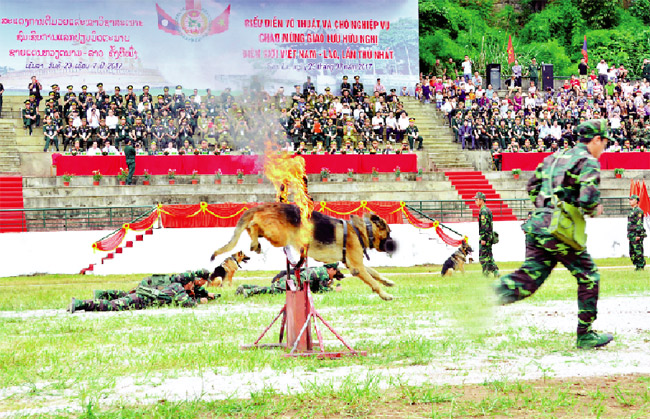 Chuyện lạ ở “nhà trường đặc biệt”