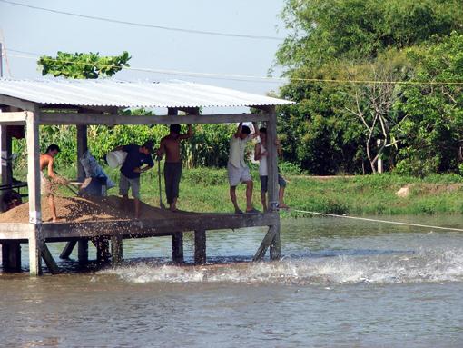 Ngành thủy sản hướng tới mục tiêu xuất khẩu đạt 9 tỷ USD