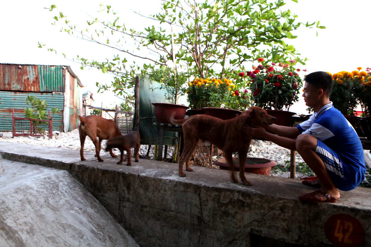 Những “người bạn đặc biệt” với lính đảo Trường Sa