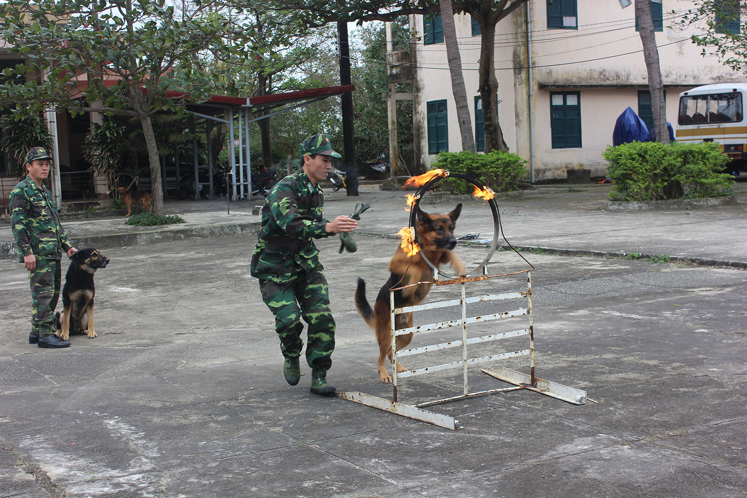  “Vũ khí sống” của BĐBP Đà Nẵng