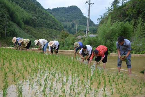 Bảo đảm ngày càng tốt hơn quyền con người trên các lĩnh vực