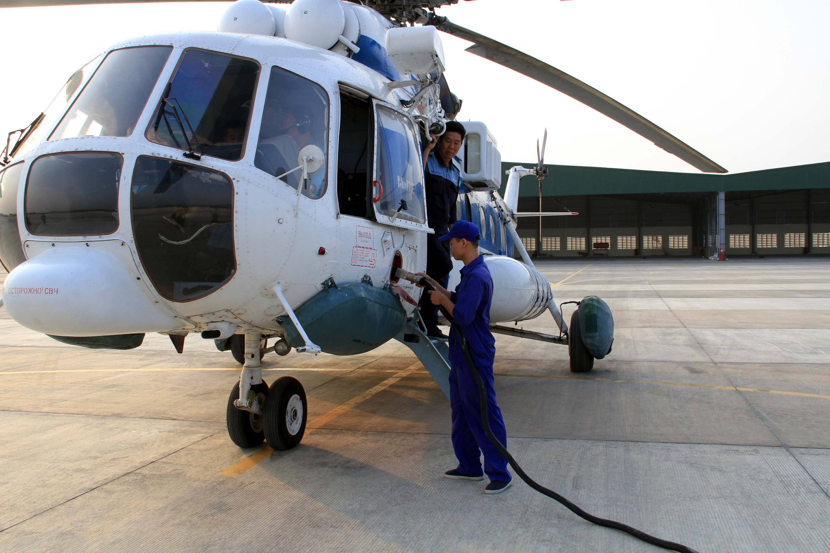 Những cánh én chào xuân phương Nam