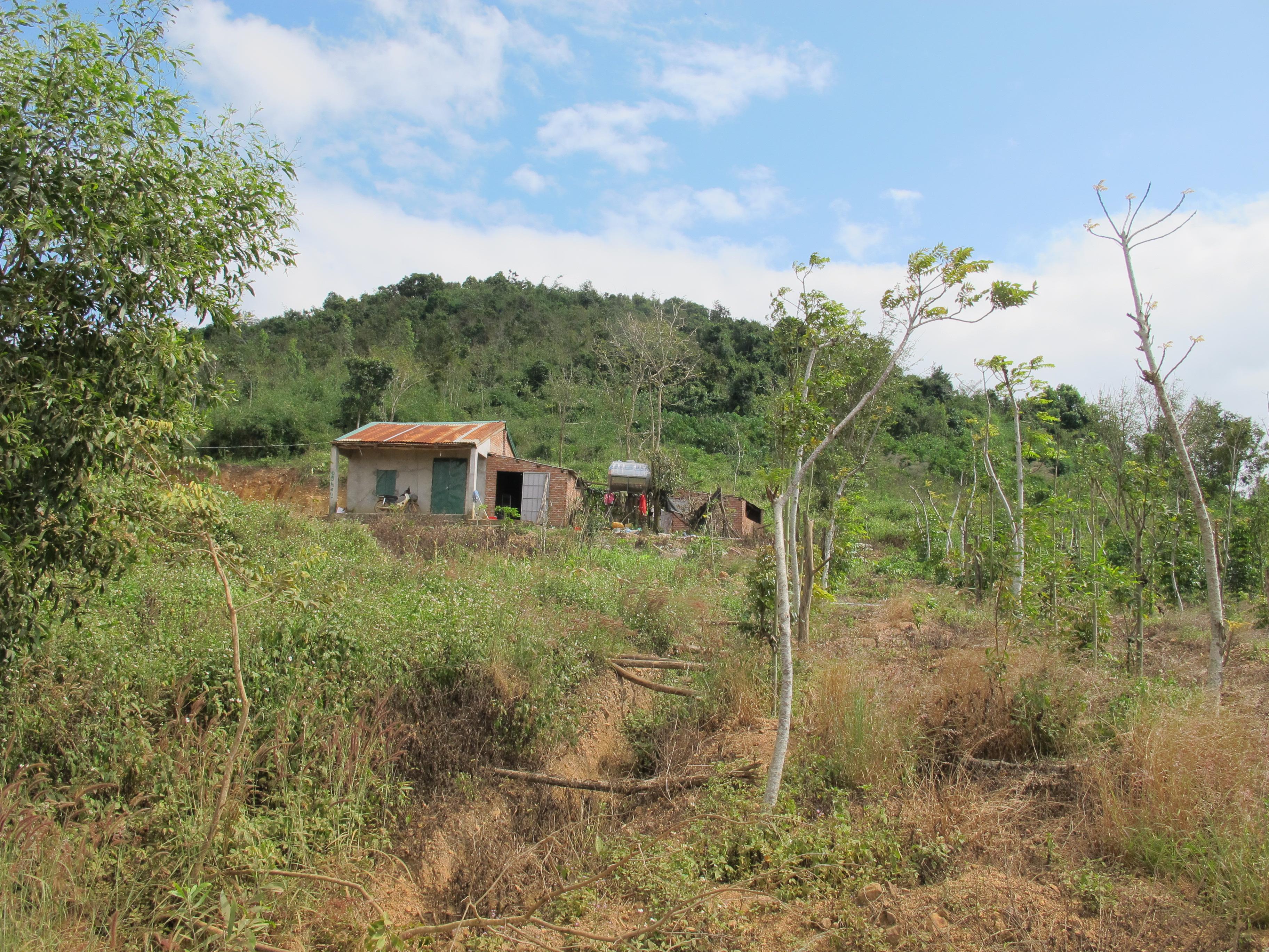 Nhiều dấu hiệu sai phạm cần được làm rõ, xử lý nghiêm

