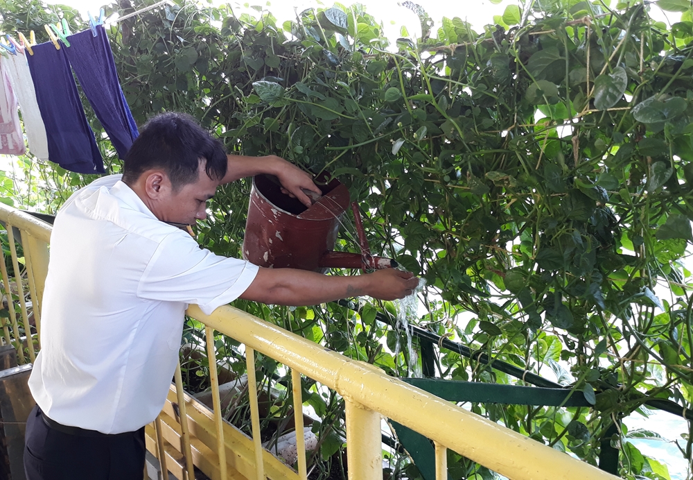 Hằng ngày, sau giờ học tập, huấn luyện, cán bộ, chiến sĩ hăng hái tăng gia sản xuất. Trung úy QNCN Nguyễn Văn Đồng, nhân viên cơ yếu, nói vui: “Đây vừa là một chế độ trong ngày, vừa là quyền lợi sát sườn của chúng tôi để cải thiện bữa ăn có thêm rau xanh!”