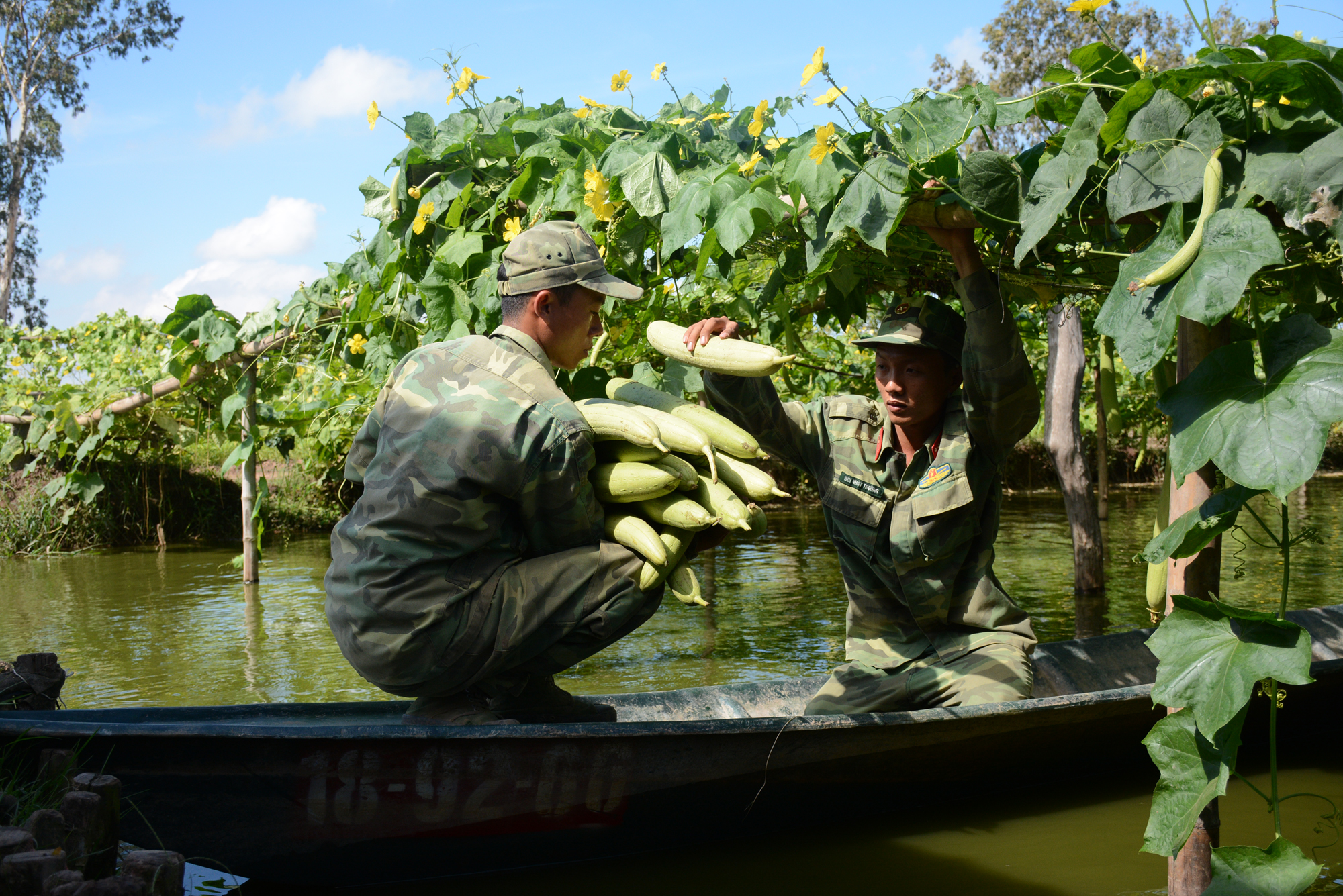 Trung đoàn 9 chủ động, linh hoạt trong tăng gia sản xuất