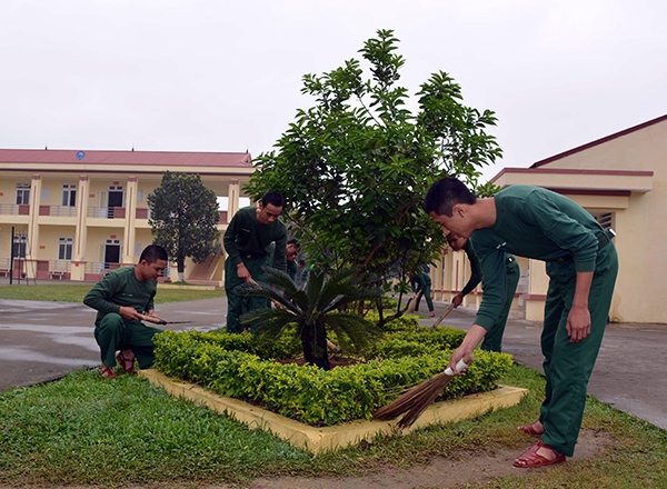 Chăm sóc vườn hoa cây cảnh.