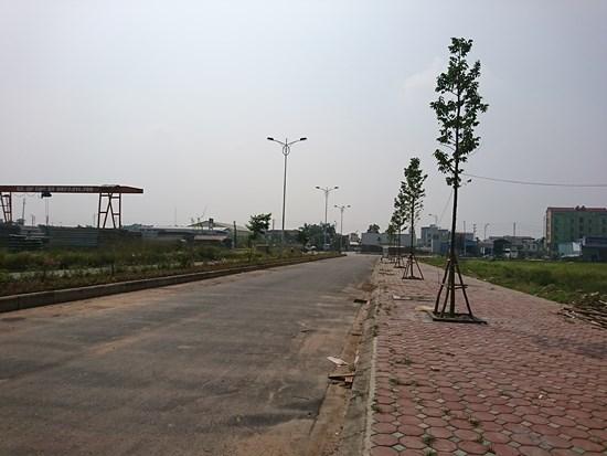 Không để thông tin nhiễu loạn cản bước nhà đầu tư