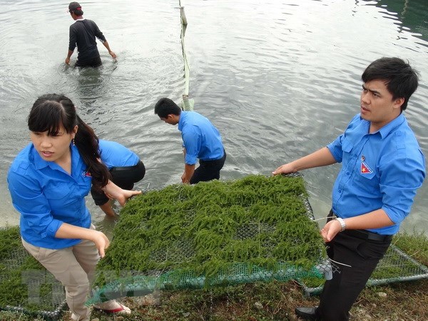 Thường xuyên giáo dục, bồi đắp lý tưởng cách mạng cho thanh niên