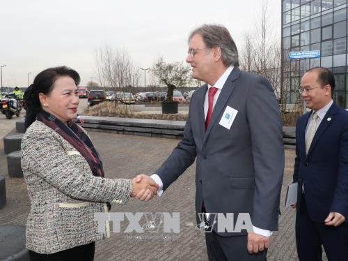 Tích cực học tập, tham khảo kinh nghiệm của Hà Lan để phát triển các hợp tác xã và nền nông nghiệp công nghệ cao