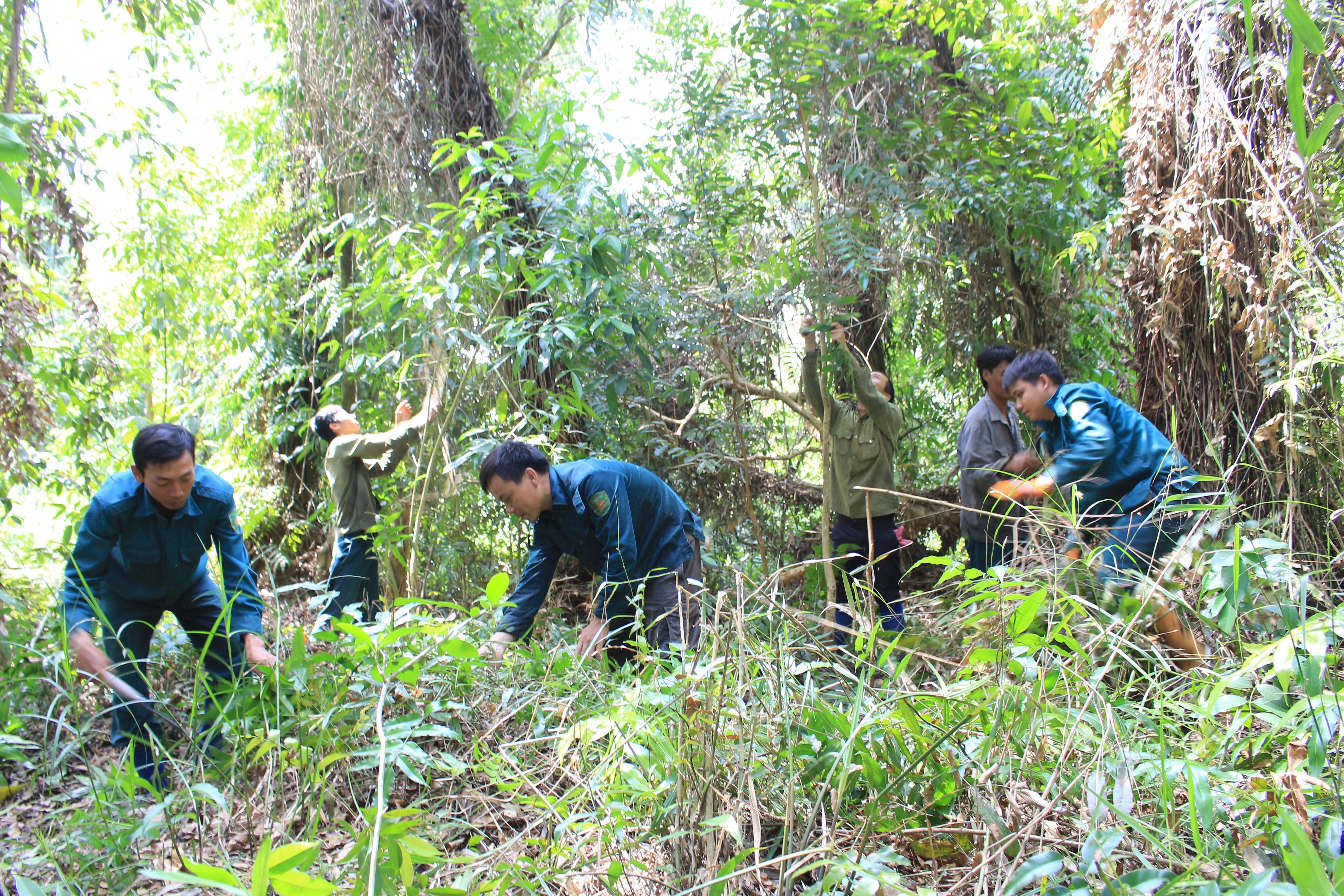Chủ động phòng, chống cháy rừng mùa khô