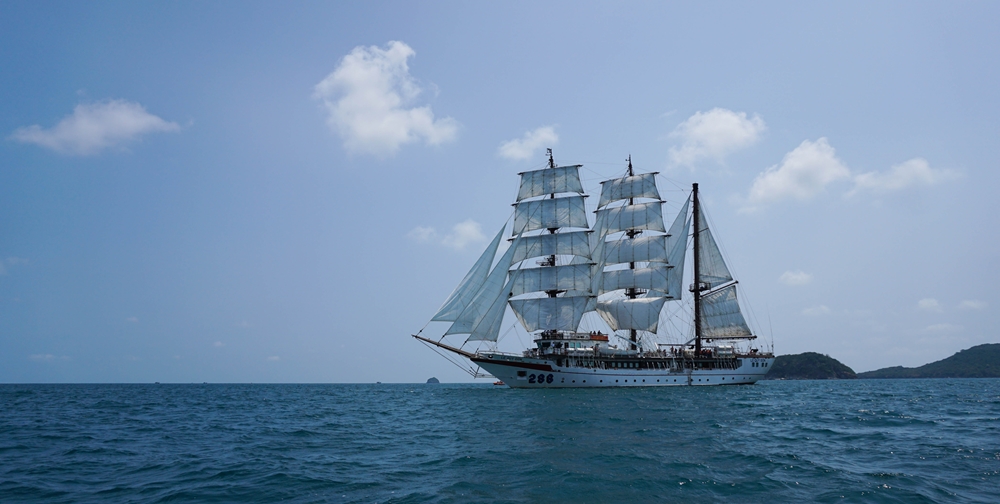 Toàn cảnh tàu 286 Lê Quý Đôn.