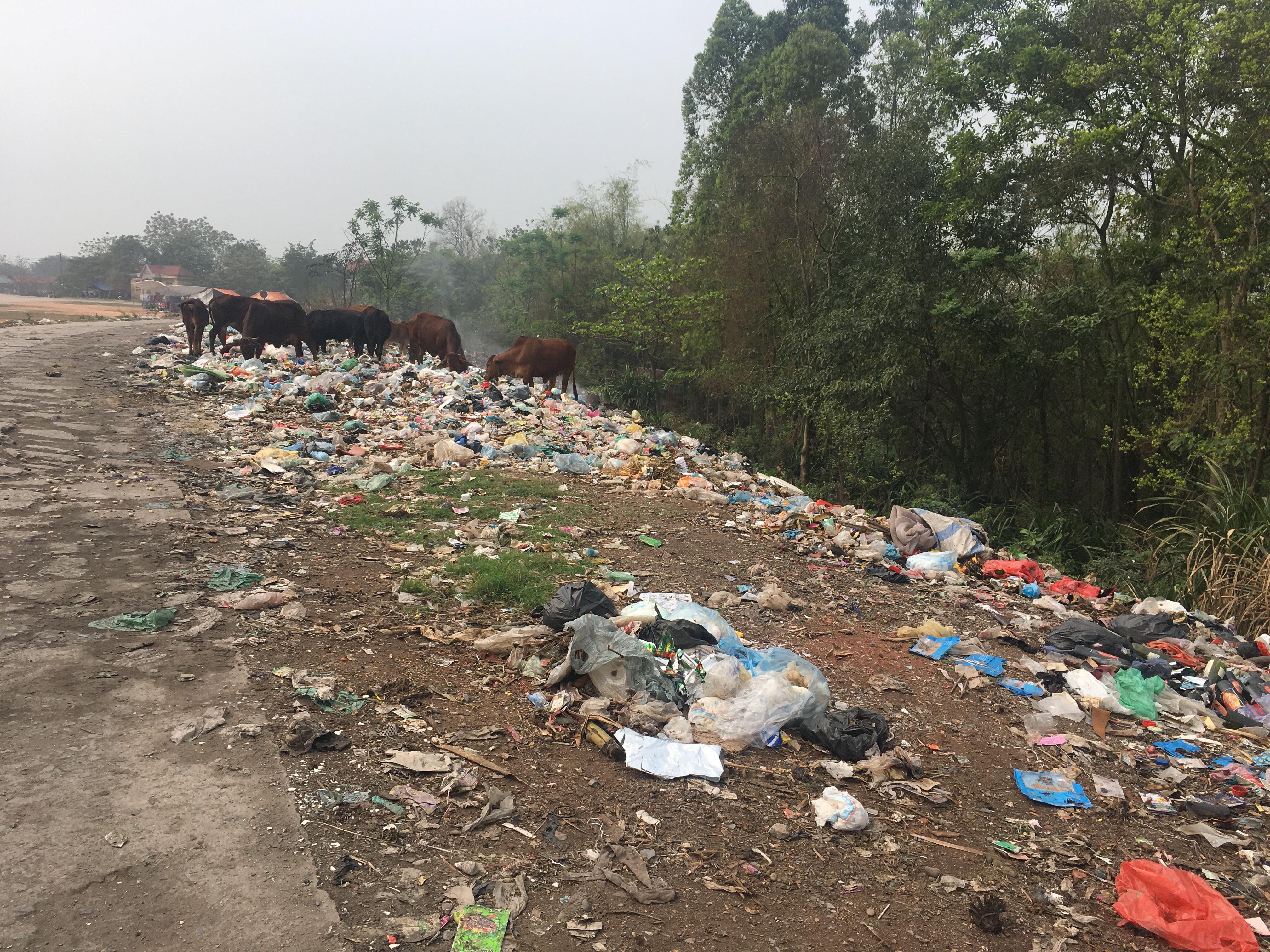 Cần xử lý dứt điểm bãi rác gây ô nhiễm môi trường