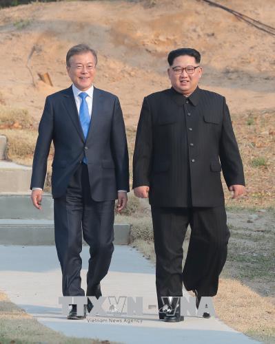 Mùa xuân đầu tiên và khát vọng hòa hợp

