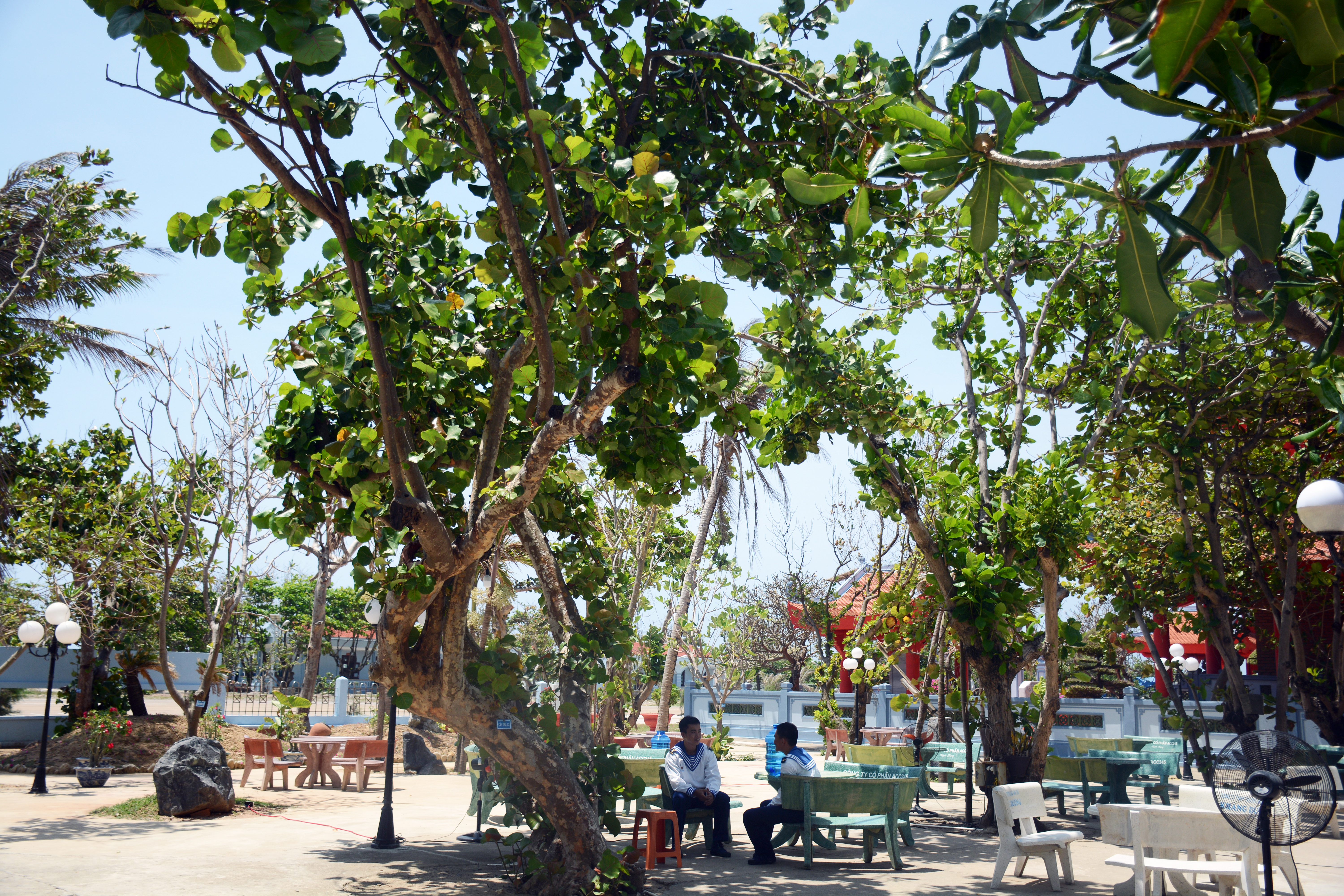 Để Trường Sa thêm xanh