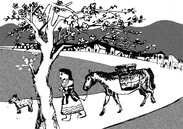 Ánh sáng xanh trong những ngôi nhà