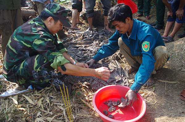 Cần Thơ: Tập huấn lập bản đồ tìm kiếm, quy tập hài cốt liệt sĩ