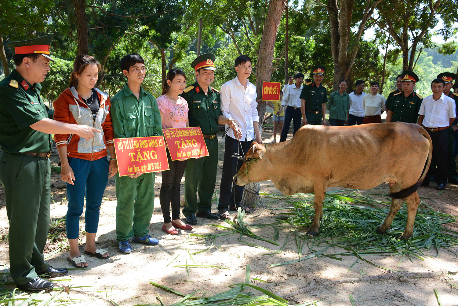 Binh đoàn 15: Tặng bò cho các hộ nghèo

