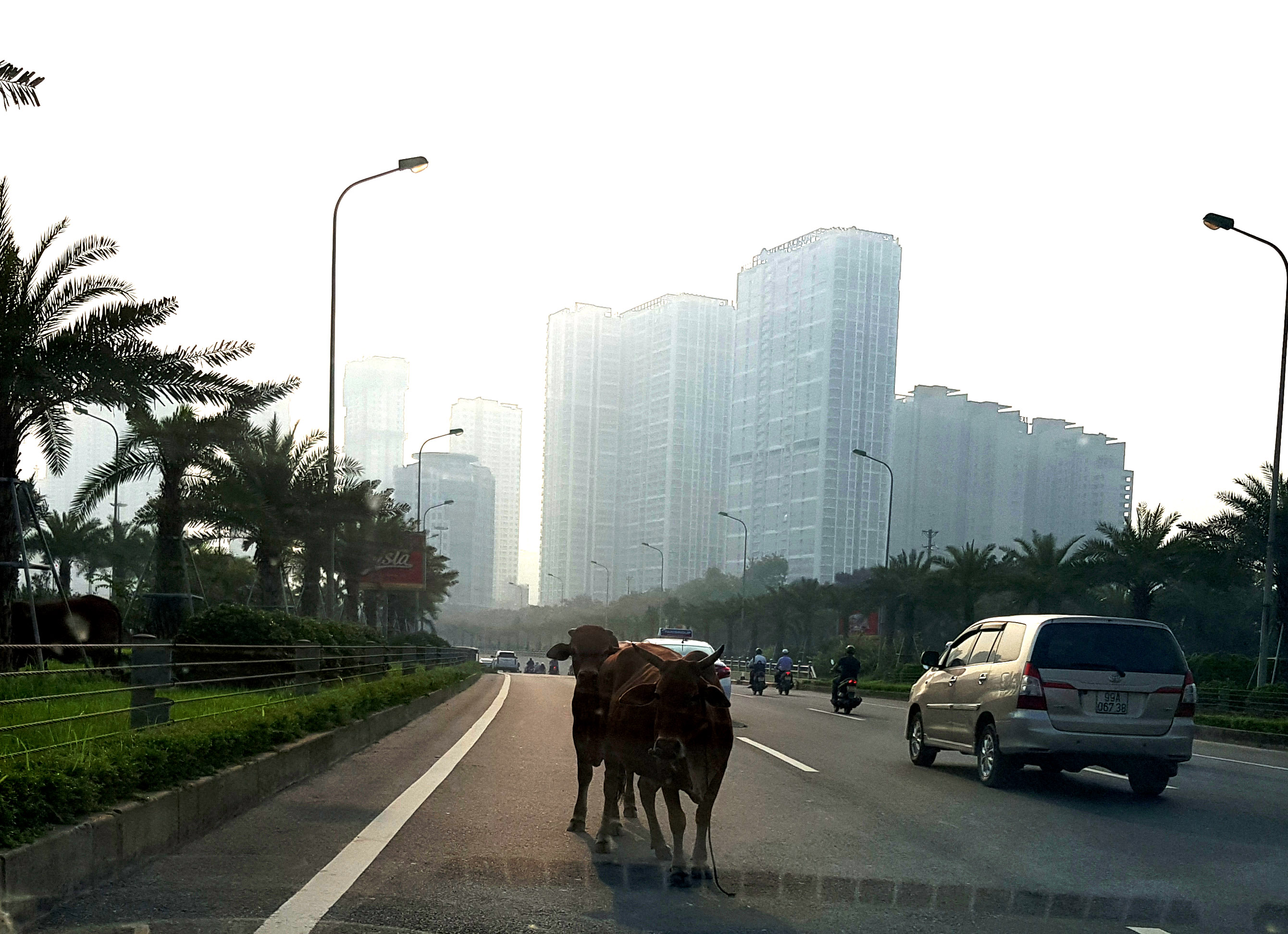 Thông tin từ đường dây nóng ngày 8-6