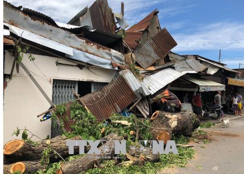Thành phố Hồ Chí Minh: Cây bật gốc đè lên nhà dân, một người bị thương