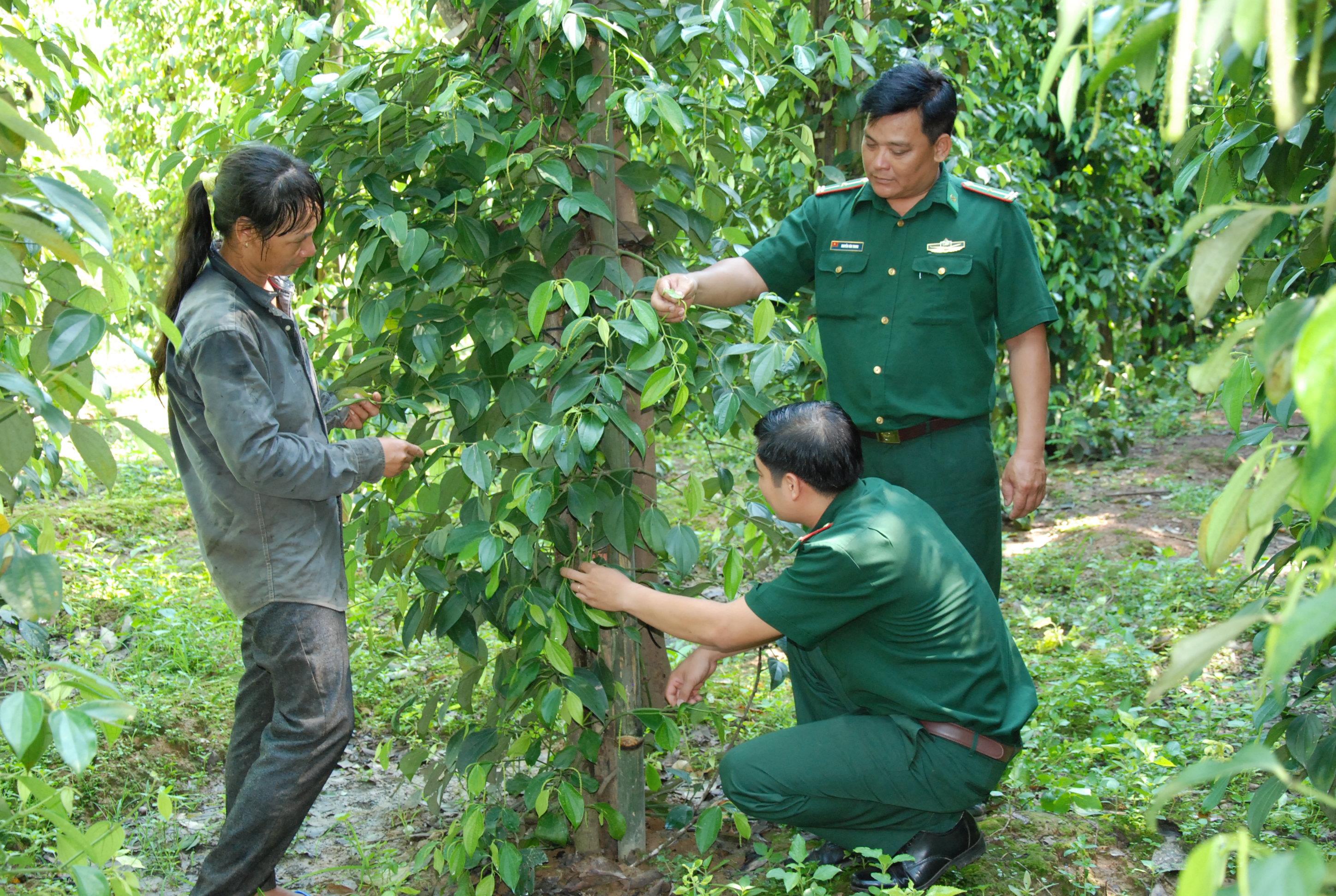 Tận tâm lo cho dân

