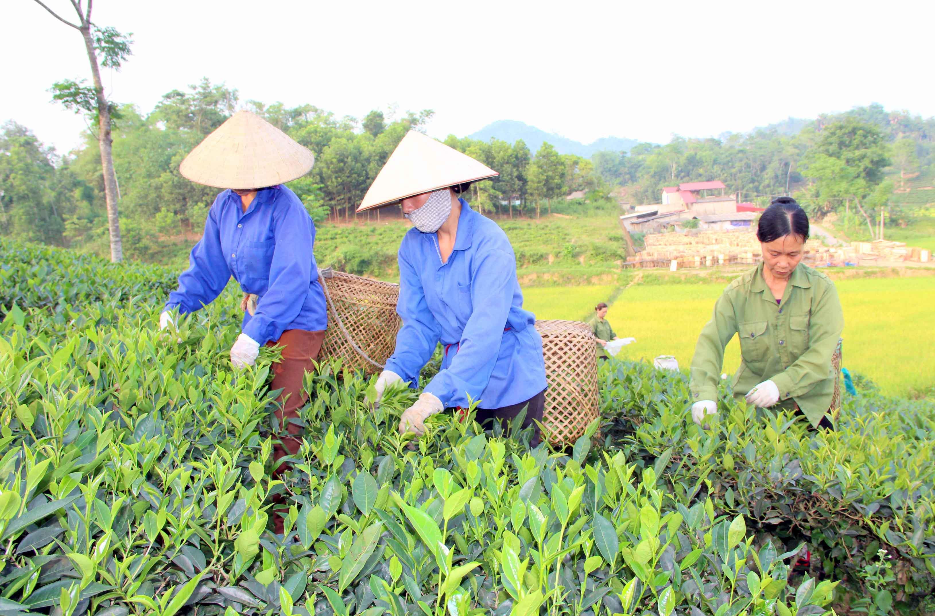 Về nơi Bác Hồ ra Lời kêu gọi thi đua ái quốc