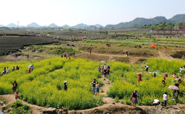 Say đắm với thảo nguyên xanh