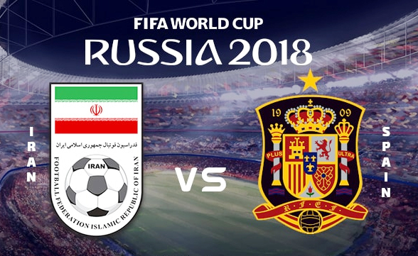 Khi “bò tót” bị chọc giận

