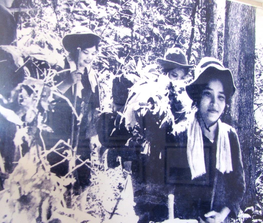 Tổ chức và sử dụng lực lượng tác chiến linh hoạt