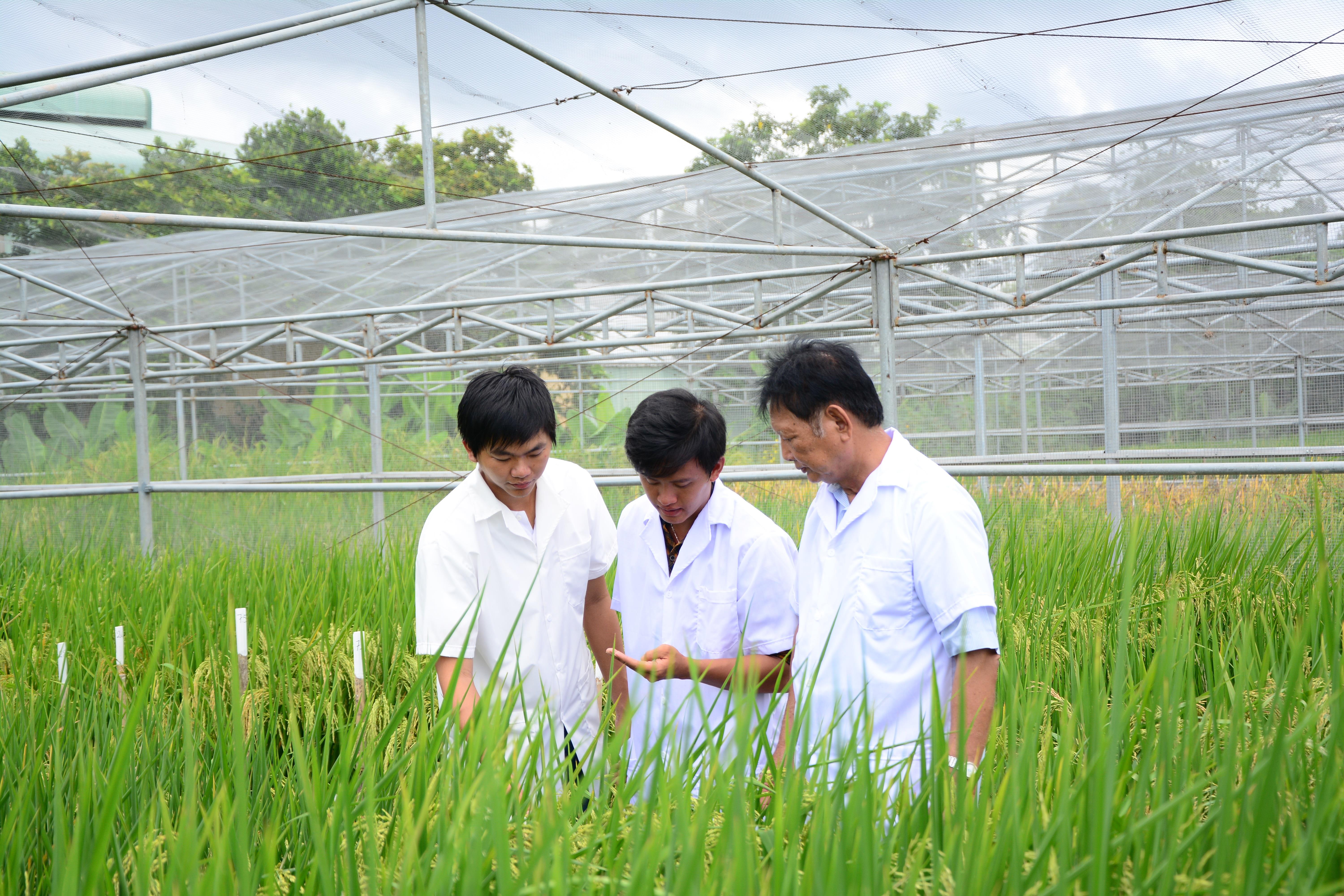 Đổi mới sáng tạo là then chốt của phát triển bền vững

