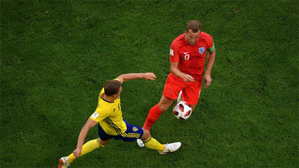 Chuyên gia nhận định 