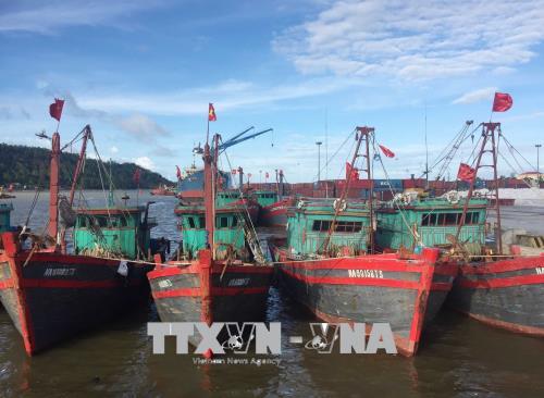 Nghệ An khẩn trương tìm kiếm tàu cá cùng 17 ngư dân mất liên lạc 