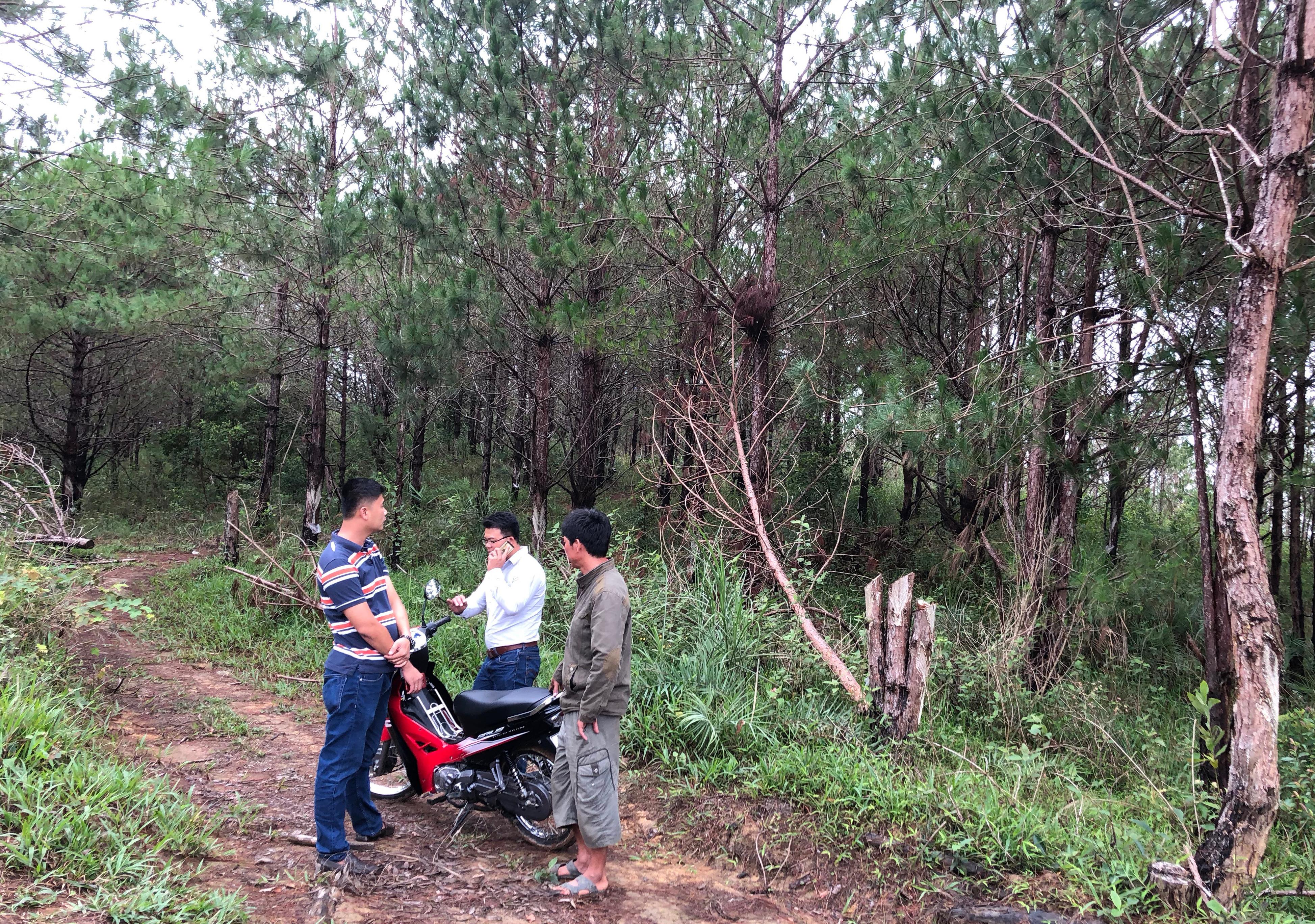 Rừng phòng hộ đầu nguồn Krông Năng bị xâm hại nghiêm trọng