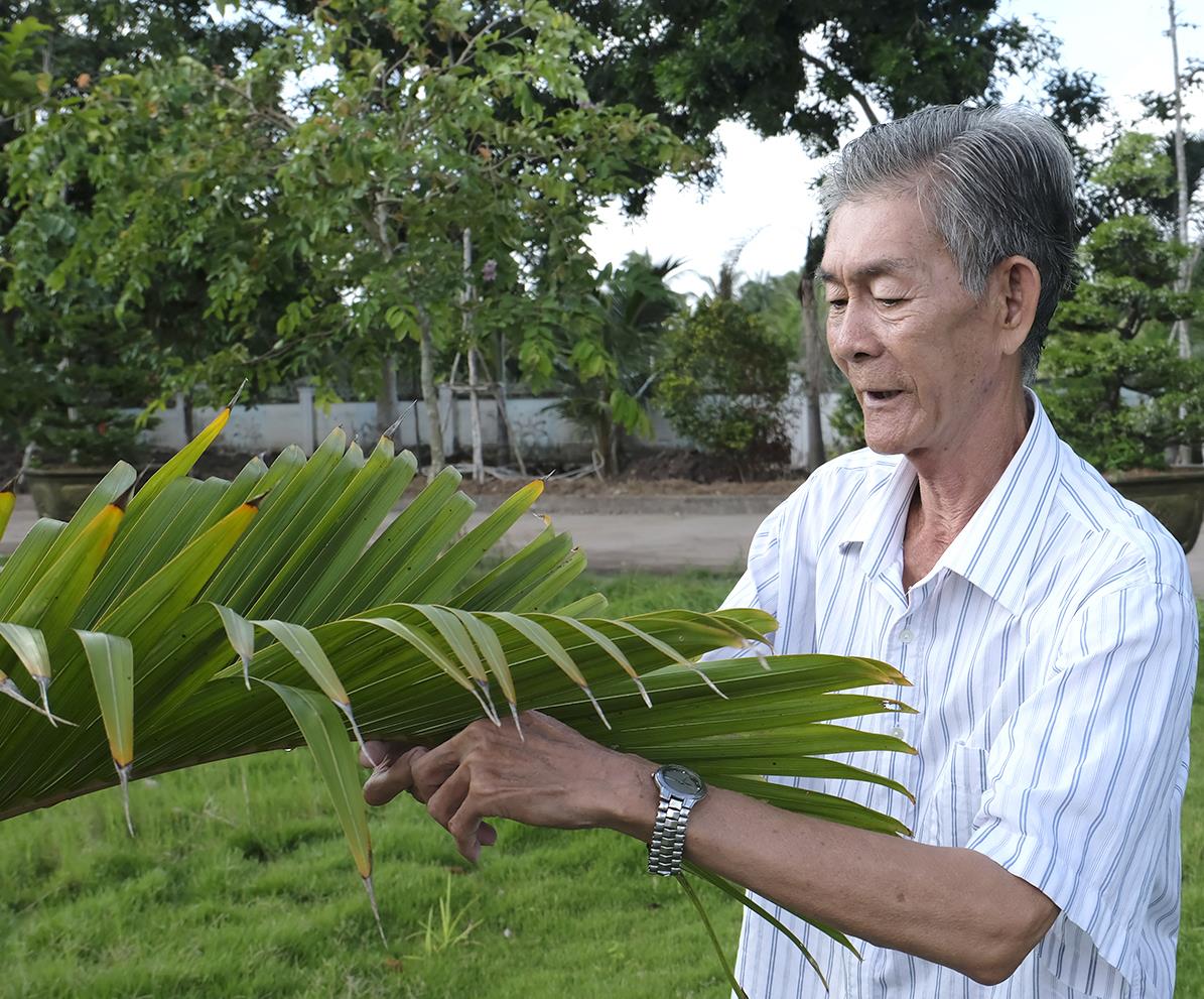 Gài lựu đạn trên cây để diệt địch