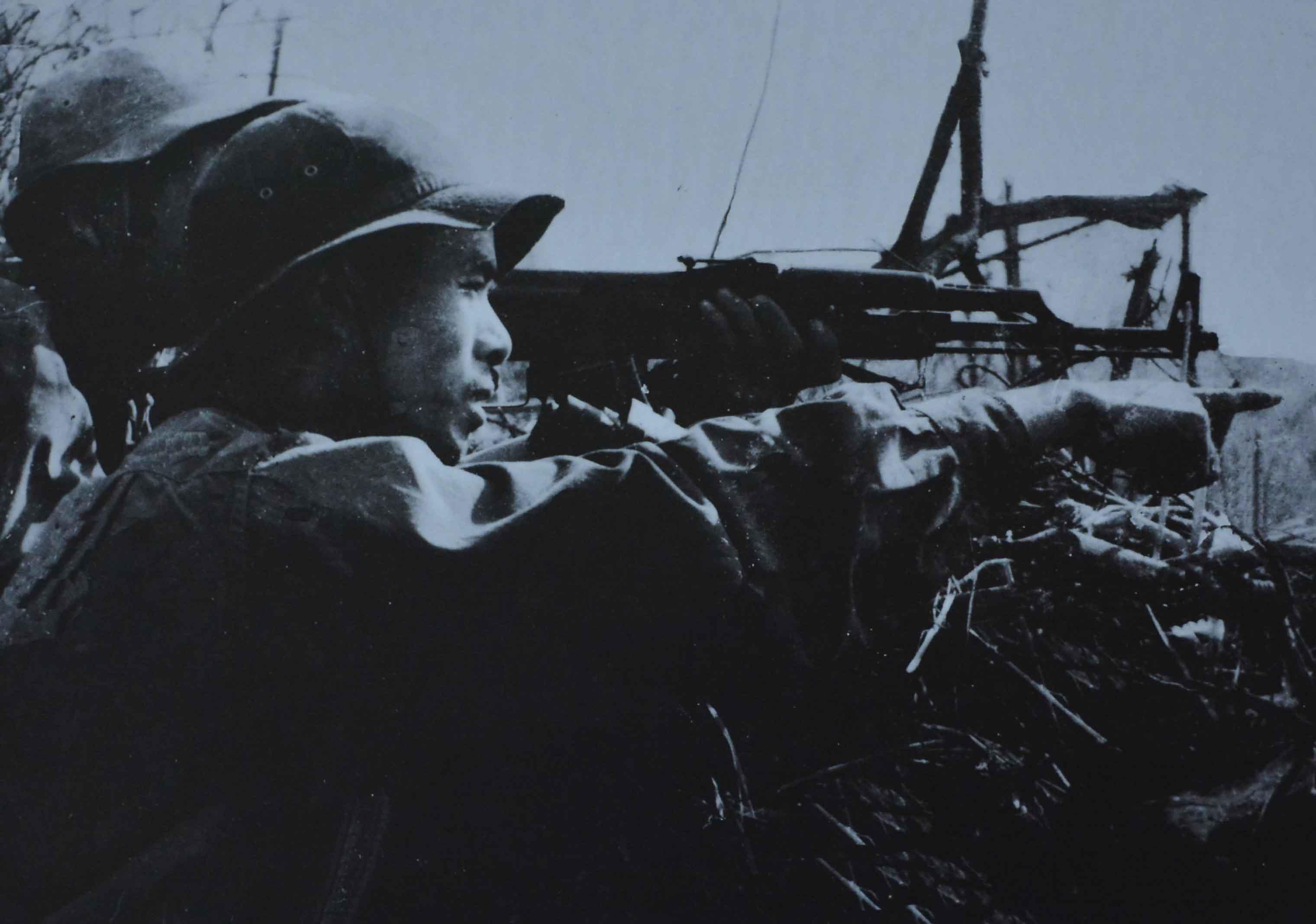 Ký ức hoa ti-gôn

