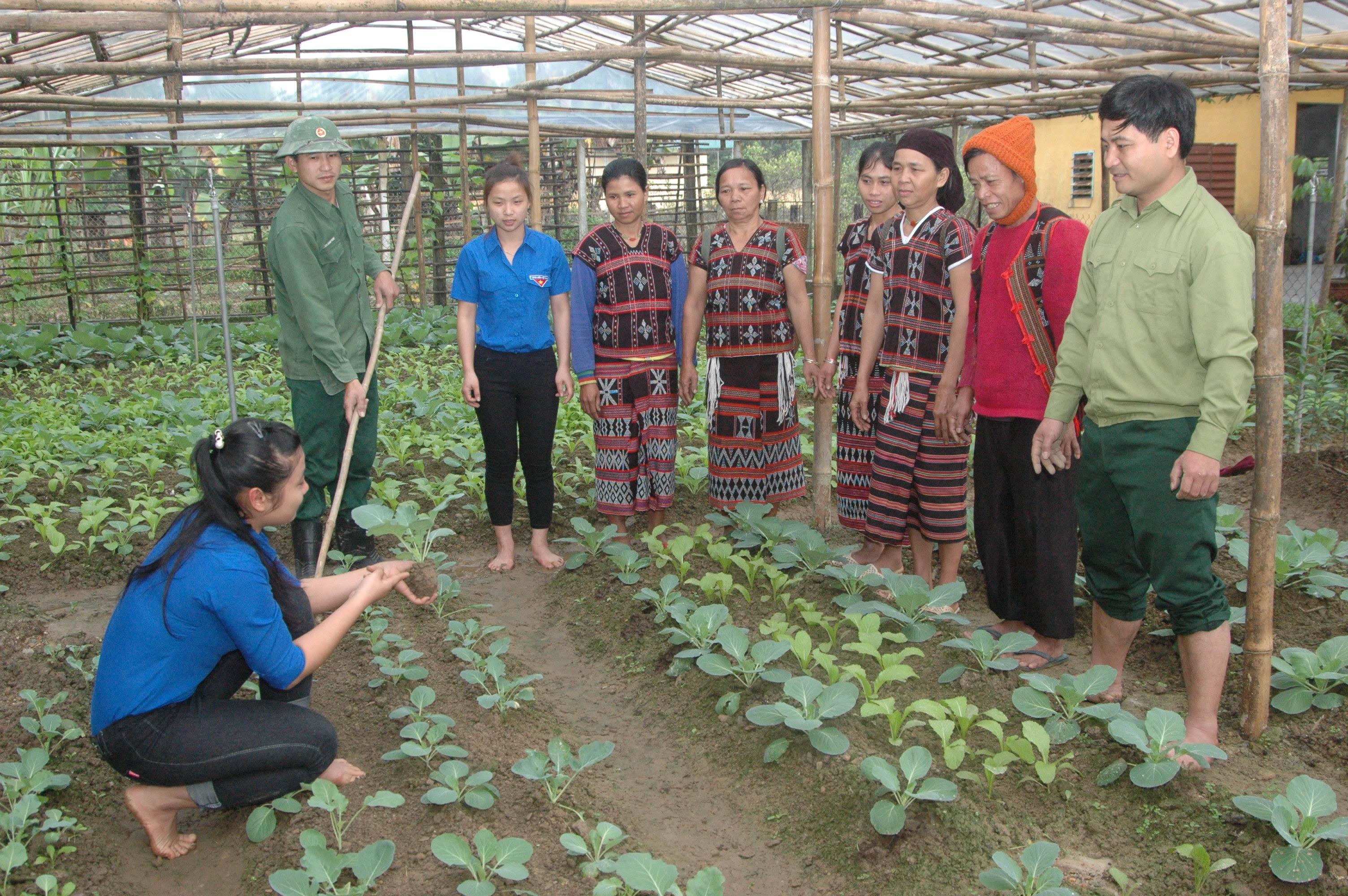 Trí thức trẻ mang ấm no về bản làng
