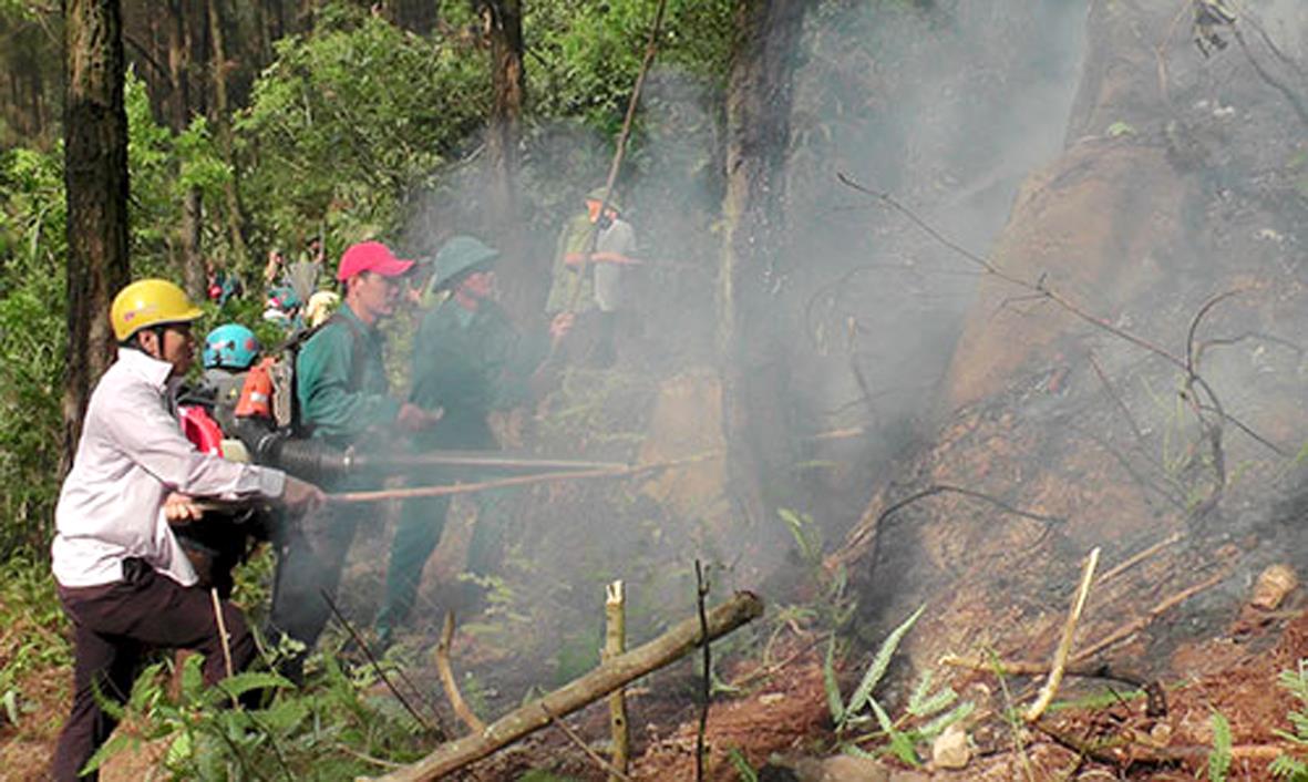 Nhớ mãi lần trắng đêm cứu rừng Cao Sơn