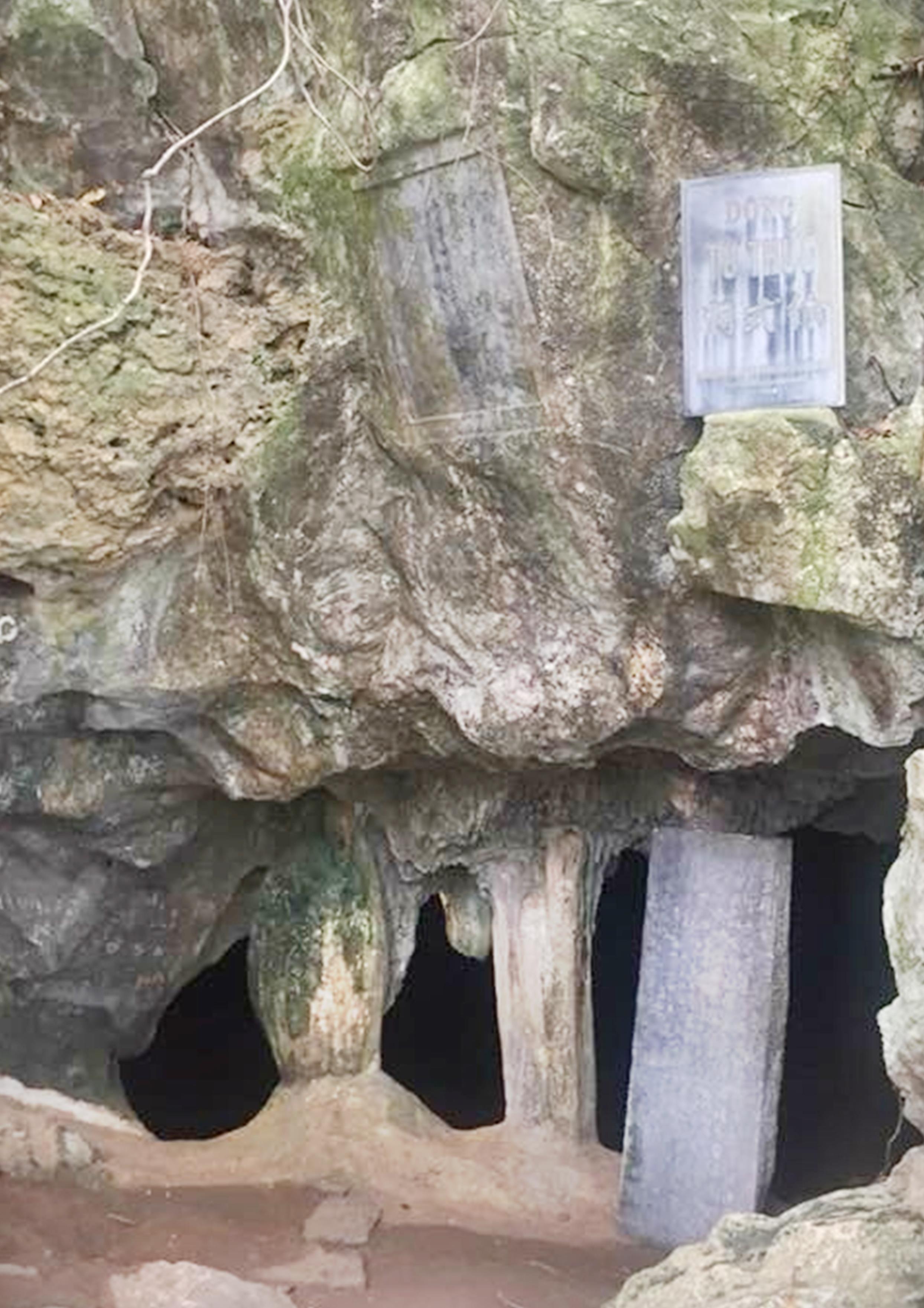 Động tiên giữa cõi trần