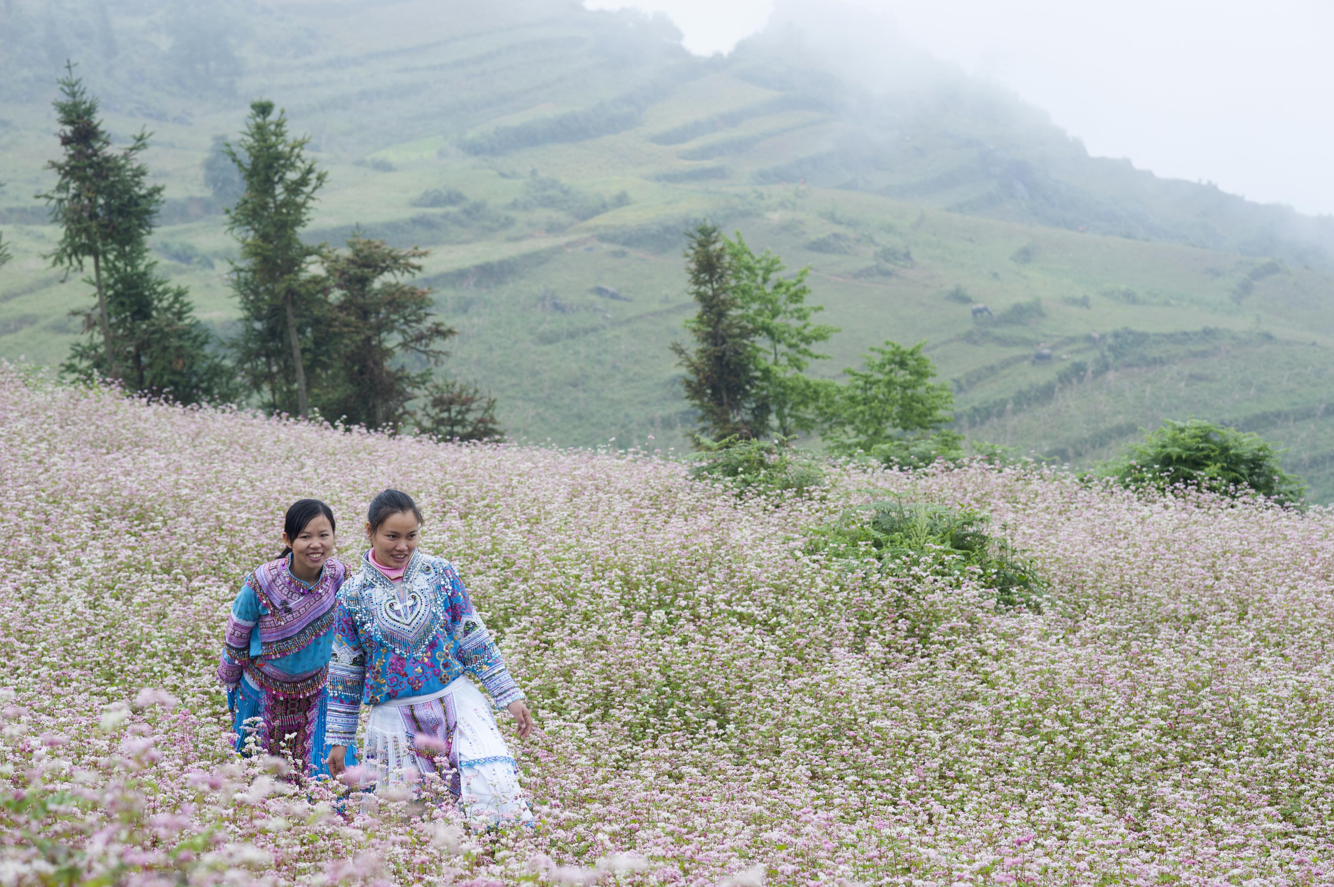 Lời mời gọi từ Cao nguyên đá