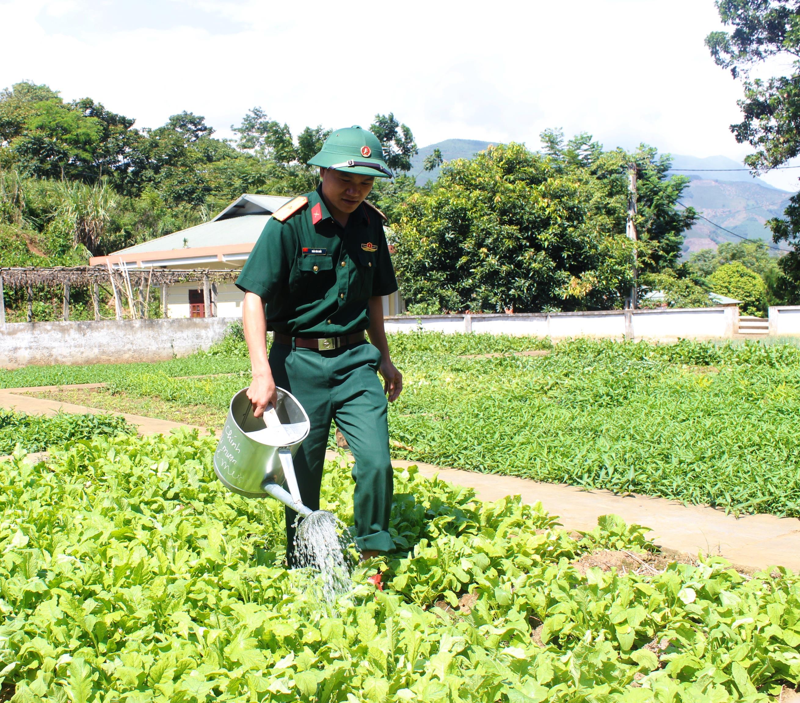 Người “làm dâu trăm họ” ở Đoàn 345