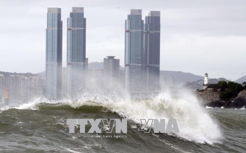 Bão Soulik gây thiệt hại tại Hàn Quốc