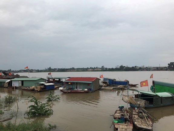 Thông tin từ đường dây nóng