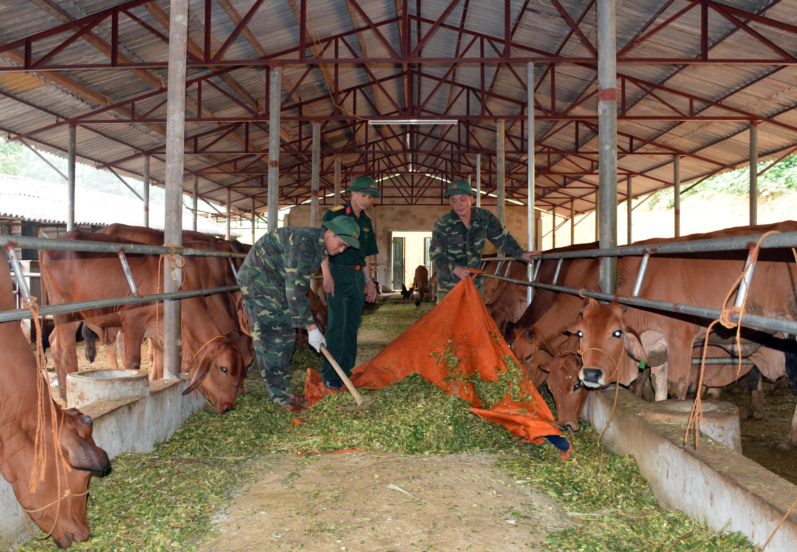 Đột phá từ một dự án