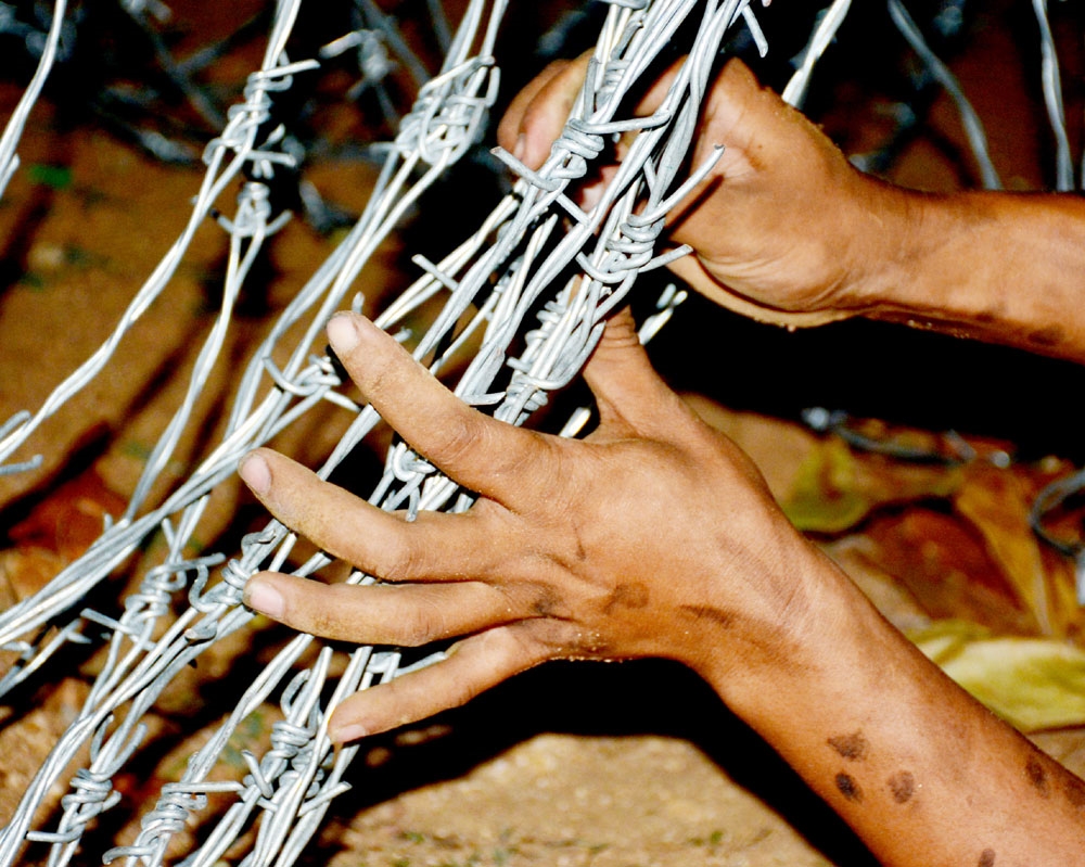 Bĩnh tĩnh, tự tin giữa bùng nhùng nhọn sắc.