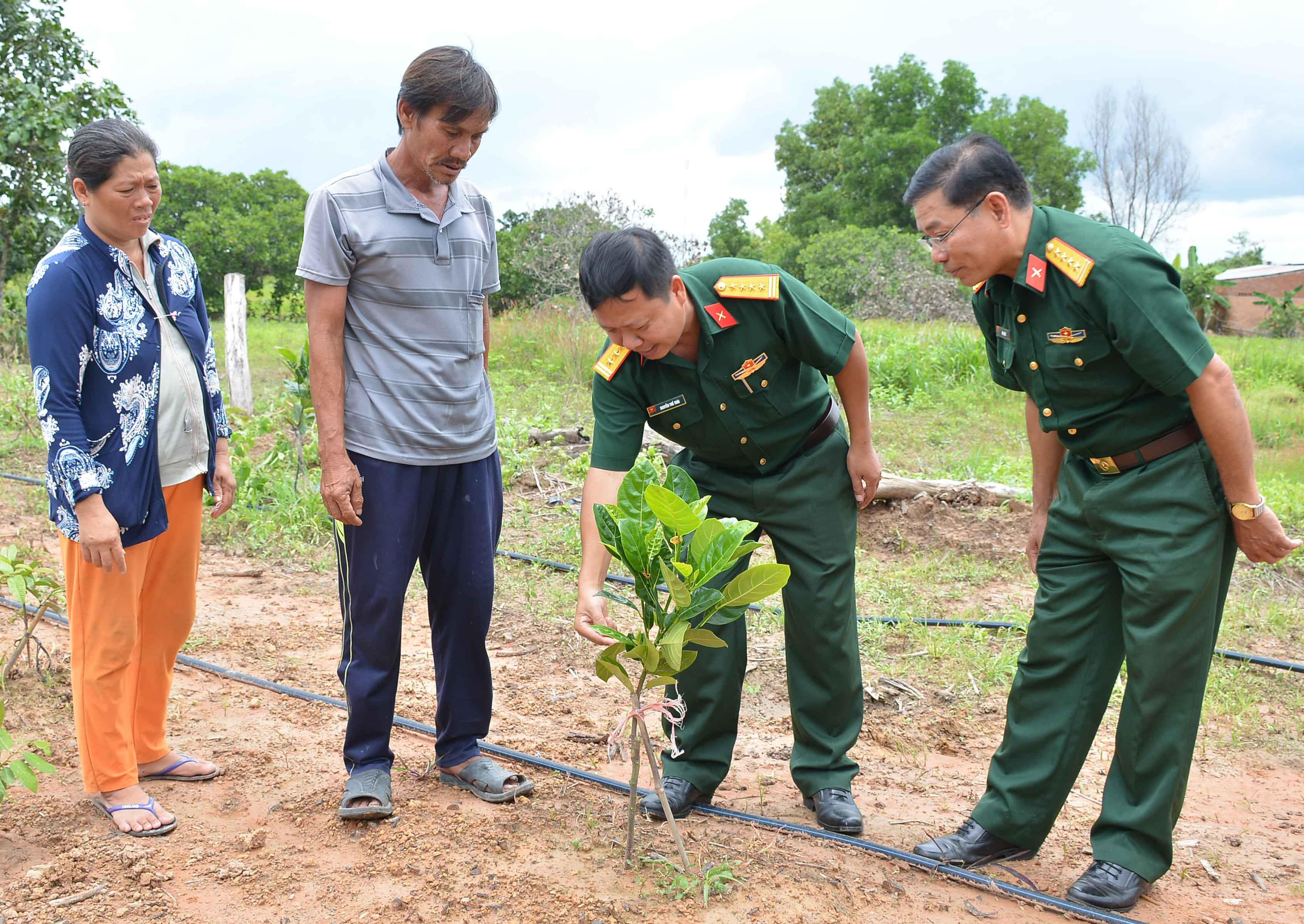 Tình quân - dân nơi biên cương đất đỏ

